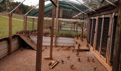 IMG_20200913_125306385