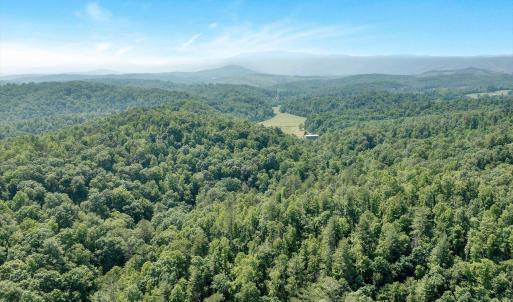 Wooded Acreage