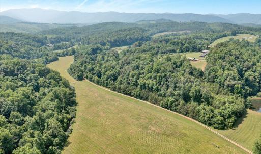 More Pasture Land