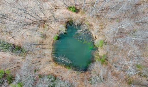 051-DJI_20260324013457_0184_D