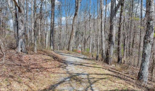 040-DJI_20260324013100_0172_D