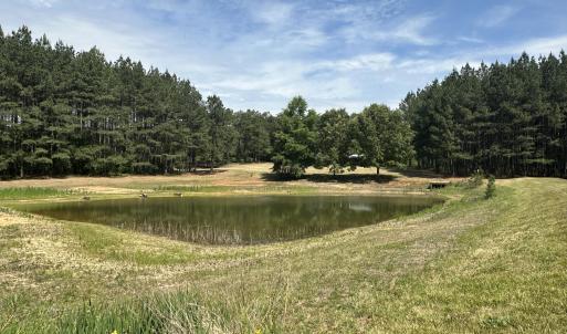 Almost .5 Acre stocked pond