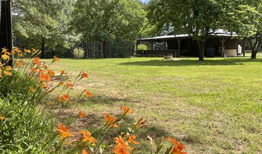 Beautiful Grounds