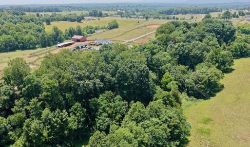 Horse Farm - 16