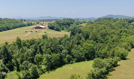 Horse Farm - 17