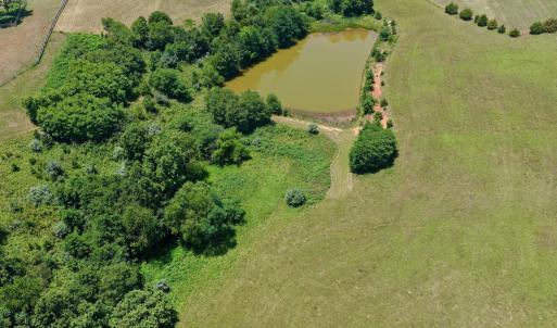 Horse Farm - 18