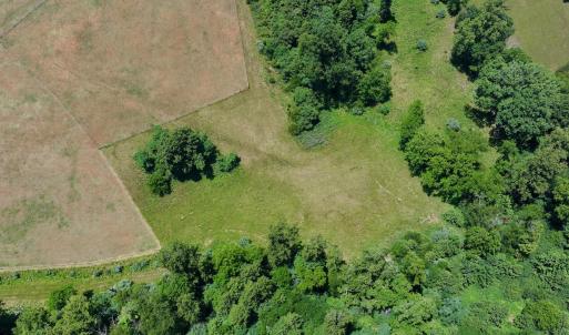 Horse Farm - 22