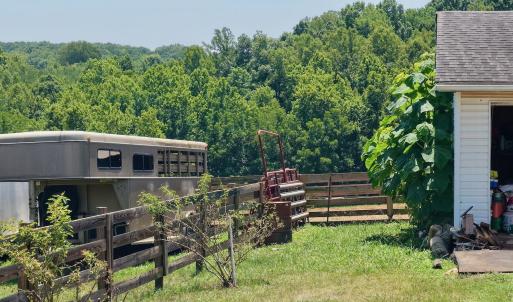 Horse Farm - 23
