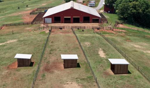 Horse Farm - 24