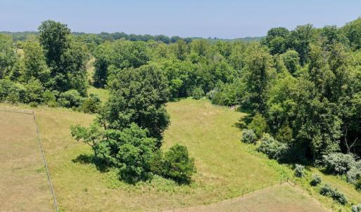 Horse Farm - 26