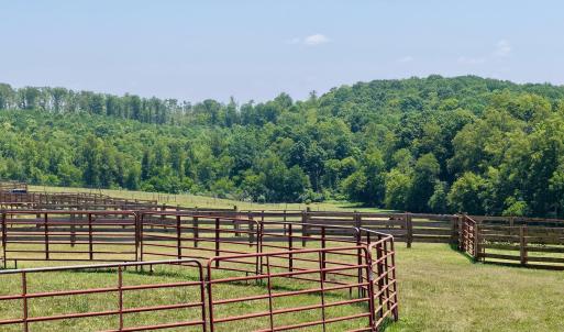 Horse Farm - 27