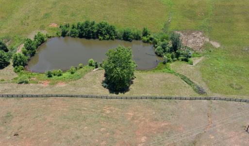 Horse Farm - 30