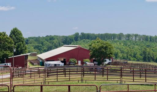 Horse Farm - 33