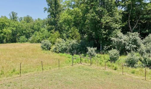 Horse Farm - 42