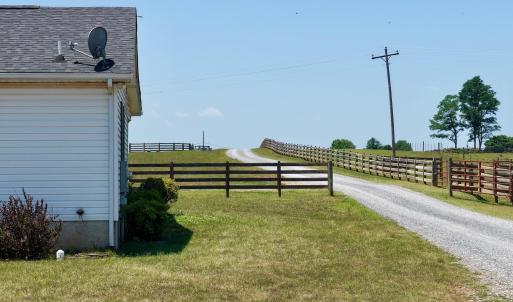 Horse Farm - 51