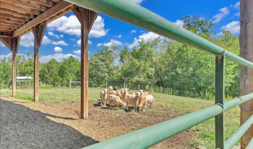 Homesteader's Dream
