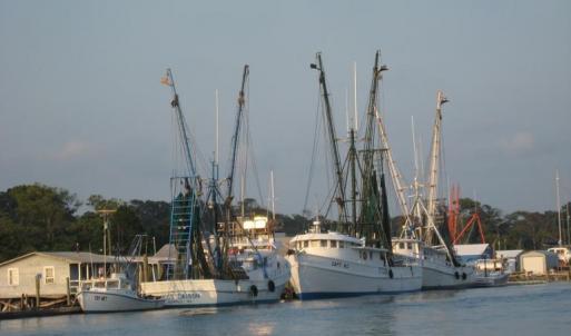 Shrimp boats on the ICW