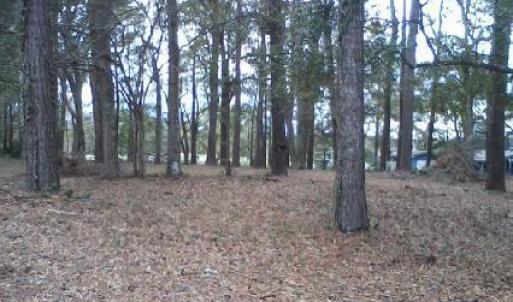 Lot 7 Lakeshore Dr. - Depth View