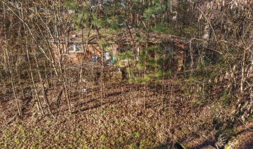 9-web-or-mls-DJI_0221