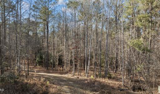 2-web-or-mls-DJI_0864