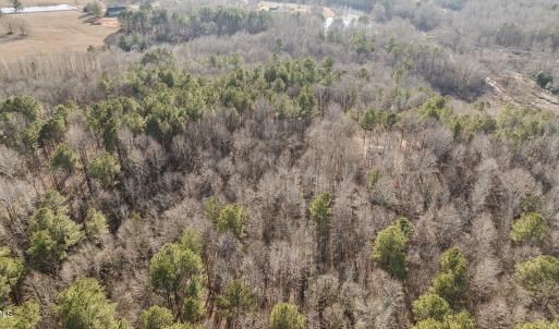 11-web-or-mls-DJI_0877