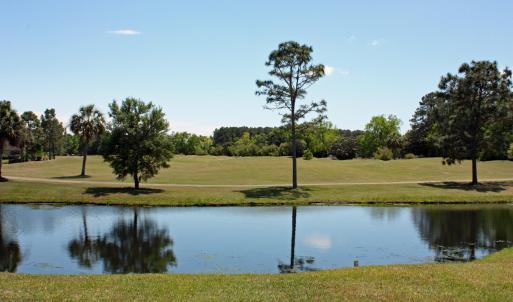 Distant Golf view beyond pond