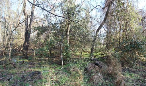 920 lot 6