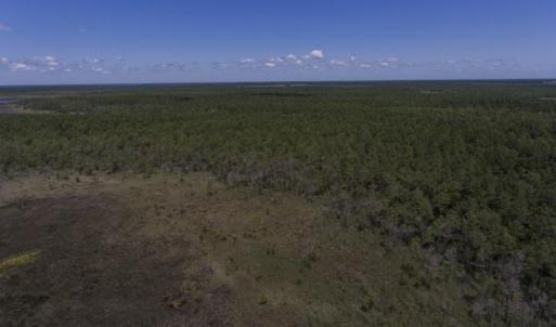 887-Acres-Spencers-Bay-4