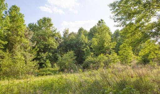 354-Acres-on-Dickens-3