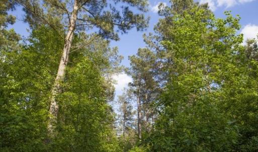 354-Acres-on-Dickens-5