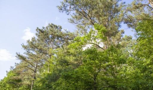 354-Acres-on-Dickens-6