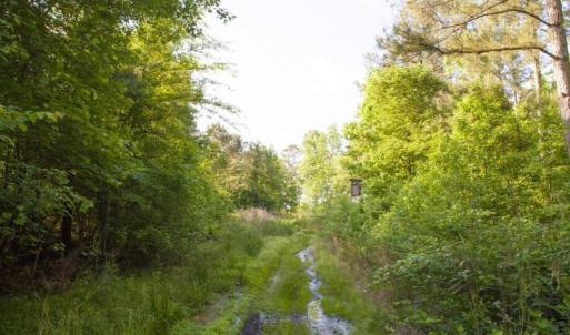 354-Acres-on-Dickens-4