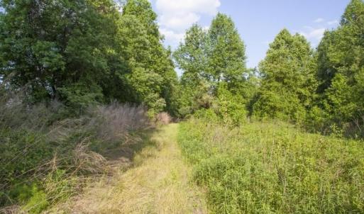 354-Acres-on-Dickens-2