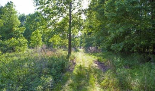 354-Acres-on-Dickens-1