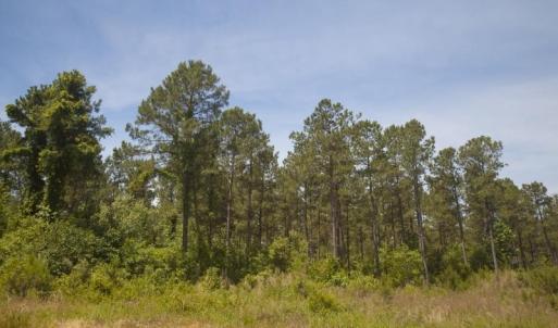 Wilson-County-1