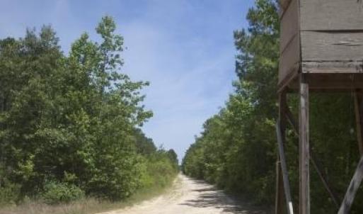 Wilson-County-2