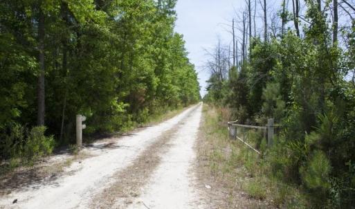 Wilson-County-02