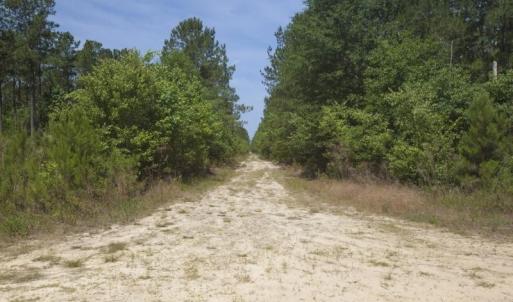 Wilson-County-3