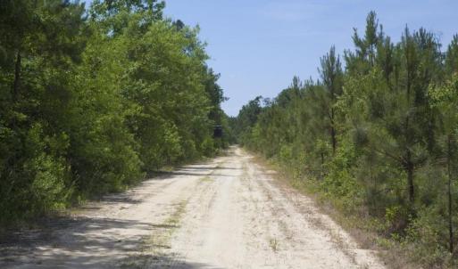 Wilson-County-6