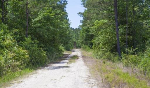 Wilson-County-11