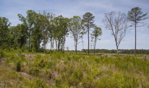 Wilson-County-12
