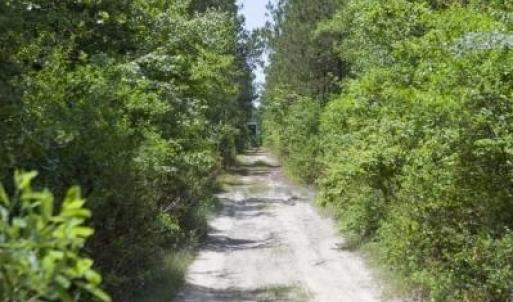 Wilson-County-14