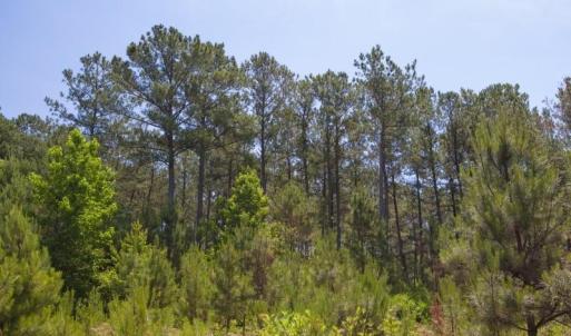Wilson-County-16