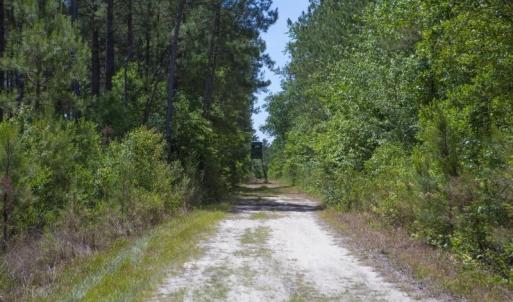 Wilson-County-17