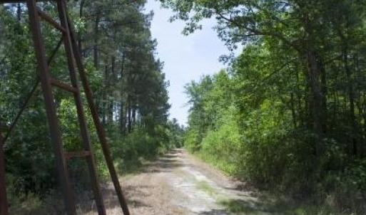 Wilson-County-21