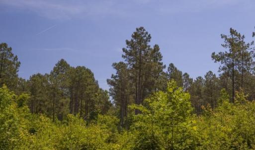Wilson-County-22