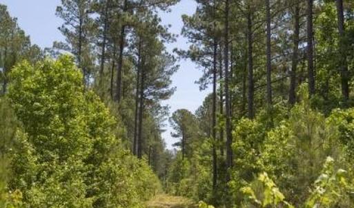 Wilson-County-23