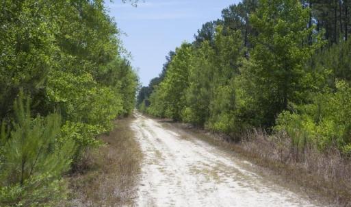 Wilson-County-24