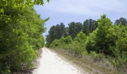 Wilson-County-26