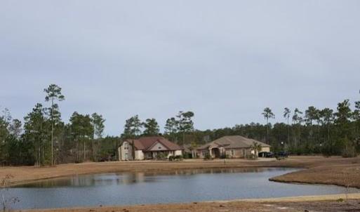 Back pond view 2
